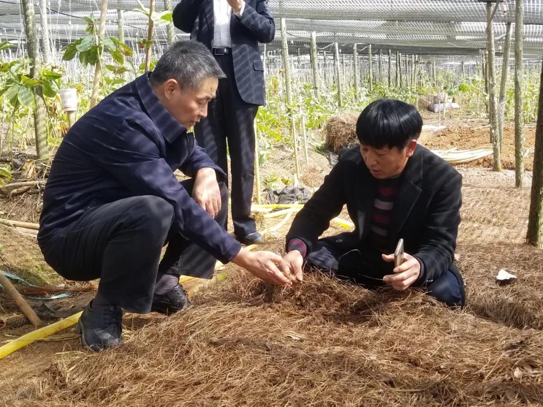 尊龙凯时人生就是搏 -官网首页