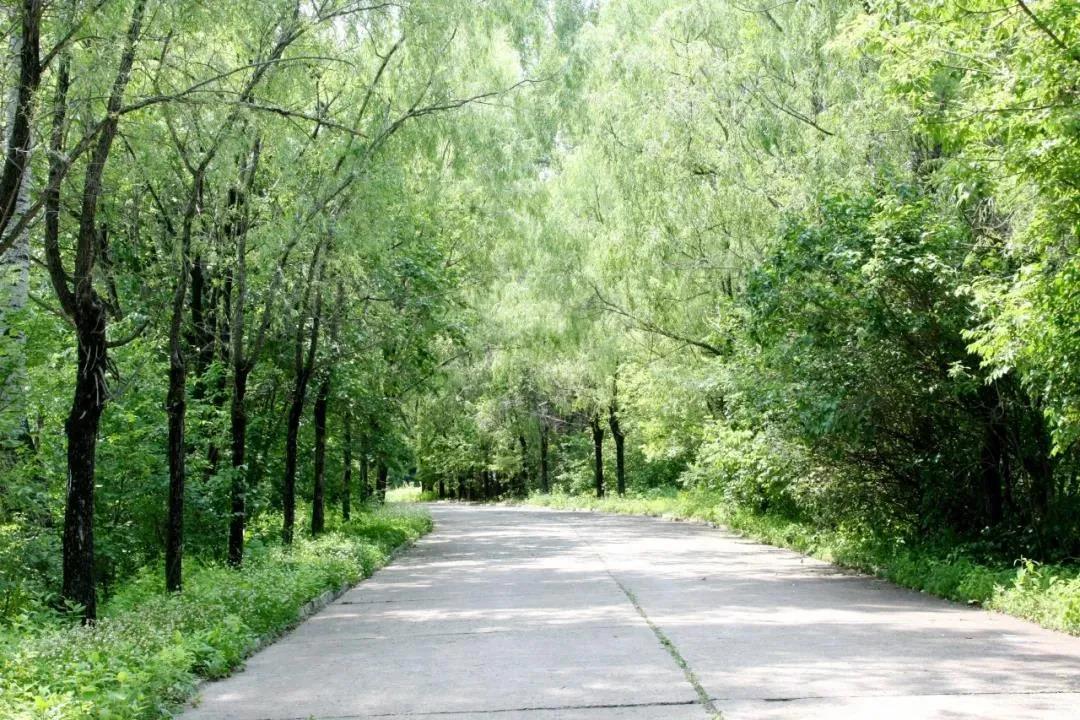 尊龙凯时人生就是搏 -官网首页